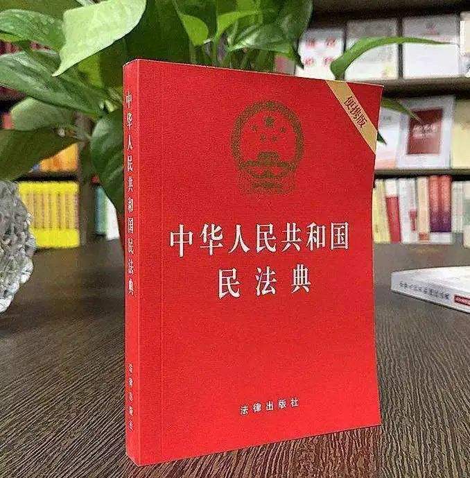 法院民法典(法院民法典宣传活动总结)