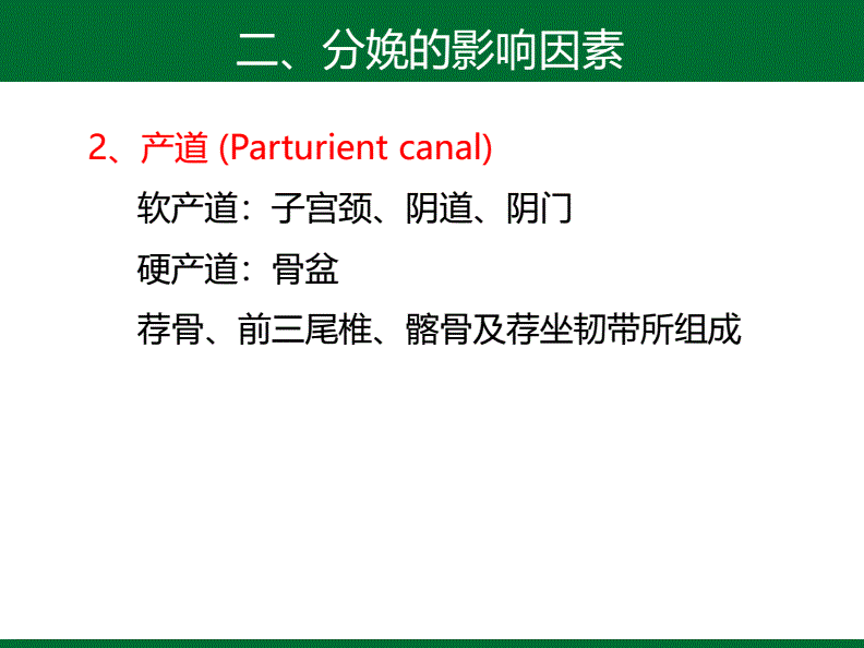 决定产妇分娩的因素(决定产妇分娩的因素有)