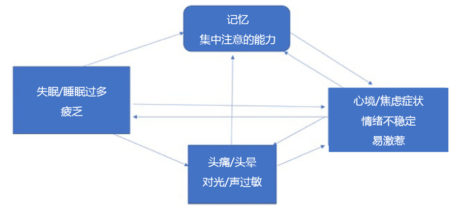 爱情脑震荡(最新les电影脑震荡)