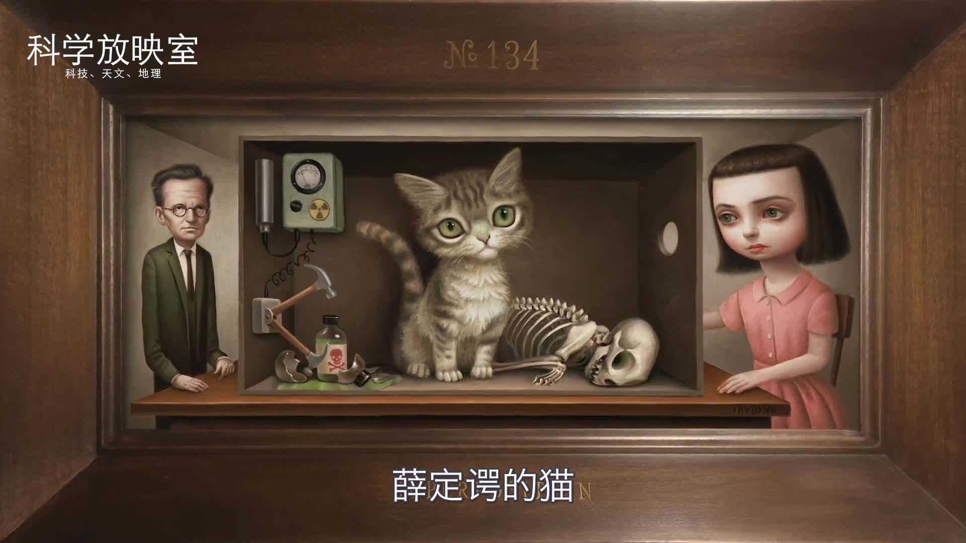 薛定谔的猫是什么意思(女生说薛定谔的猫是什么意思)