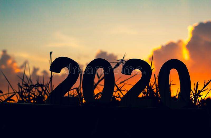 2020年是什么年(2020年是什么年庚子年)