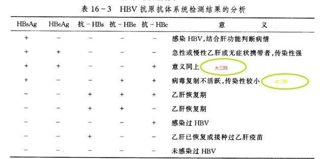 乙肝大三阳是什么意思(乙肝大三阳是什么意思三阳怎么传染)