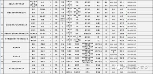 库尔勒就业状况怎么样 库尔勒就业信息网