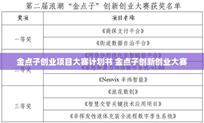 金点子创业项目大赛计划书 金点子创新创业大赛