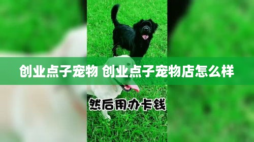 创业点子宠物 创业点子宠物店怎么样