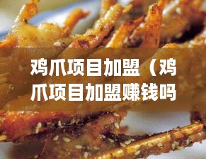 鸡爪项目加盟（鸡爪项目加盟赚钱吗？）