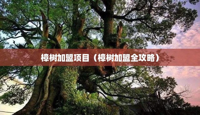 樟树加盟项目（樟树加盟全攻略）