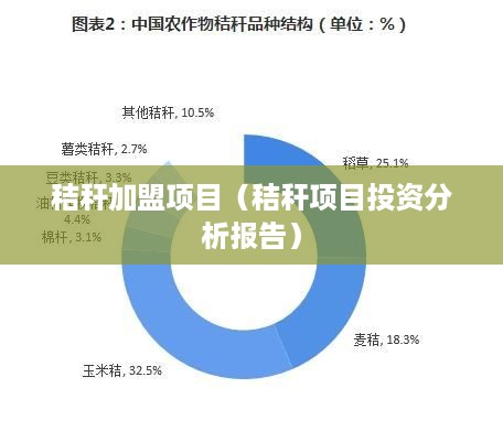 秸秆加盟项目（秸秆项目投资分析报告）