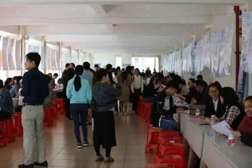 海南大学怎么样就业 海南大学怎么样就业率高吗