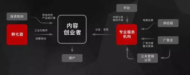 创业信息收集包括哪些内容