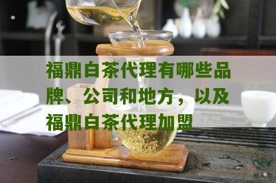 昆明福鼎白茶怎么加盟（福鼎白茶代理联系）