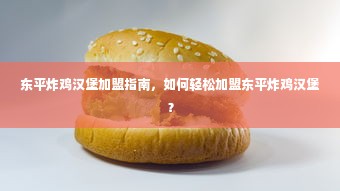 东平炸鸡汉堡加盟指南，如何轻松加盟东平炸鸡汉堡？