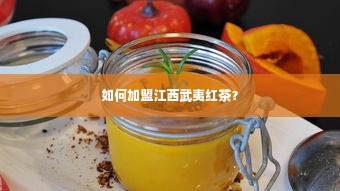 如何加盟江西武夷红茶？