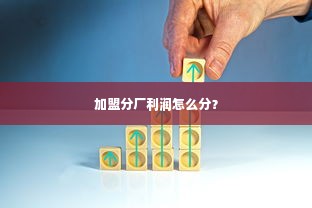 加盟分厂利润怎么分？