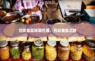 甘肃食品加盟代理，开启美食之旅