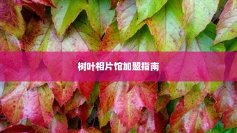 树叶相片馆加盟指南