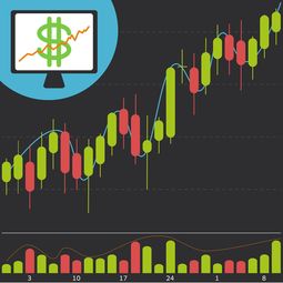 新疆冷门代理创业项目加盟，探索未知领域，成就财富梦想