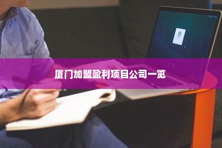 厦门加盟盈利项目公司一览