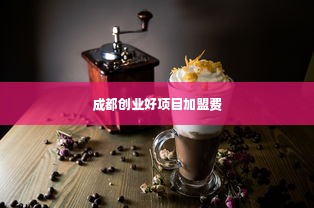 成都创业好项目加盟费