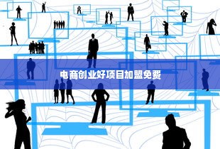 电商创业好项目加盟免费