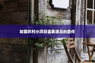 加盟农村小项目需要满足的条件