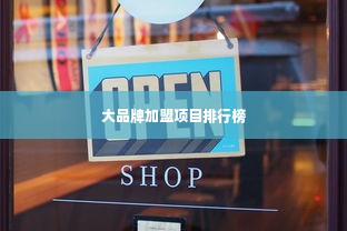 大品牌加盟项目排行榜