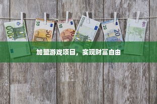 加盟游戏项目，实现财富自由