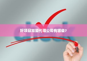 好项目加盟代理公司有哪些？