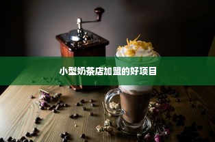 小型奶茶店加盟的好项目