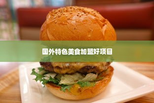 国外特色美食加盟好项目