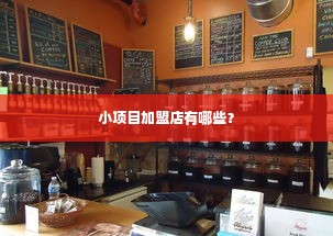 小项目加盟店有哪些？