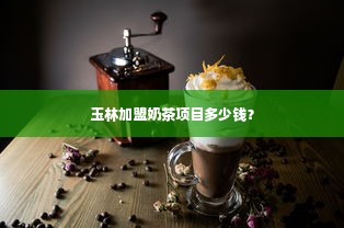 玉林加盟奶茶项目多少钱？