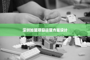 深圳加盟项目运营方案设计