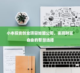 小本投资创业项目加盟公司，实现财富自由的智慧选择