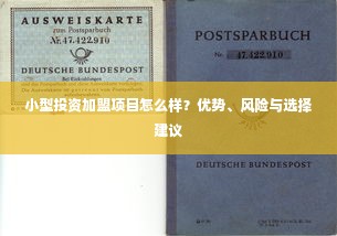 小型投资加盟项目怎么样？优势、风险与选择建议