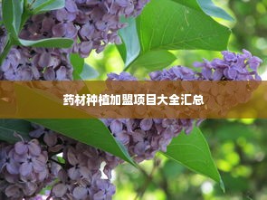 药材种植加盟项目大全汇总