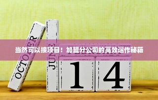 当然可以接项目！加盟分公司的高效运作秘籍