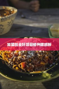 加盟创业好项目柳州螺蛳粉