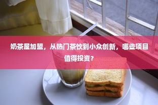 奶茶屋加盟，从热门茶饮到小众创新，哪些项目值得投资？