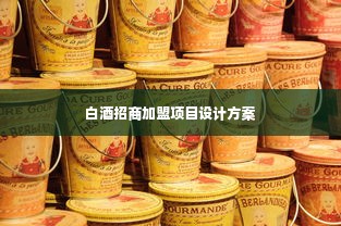 白酒招商加盟项目设计方案