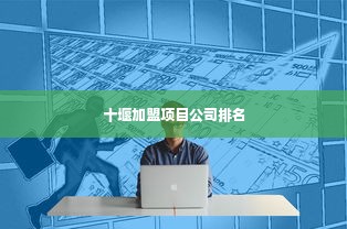 十堰加盟项目公司排名