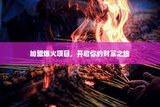 加盟爆火项目，开启你的财富之旅