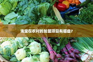 淘宝在农村的加盟项目有哪些？