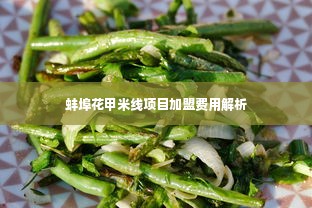 蚌埠花甲米线项目加盟费用解析