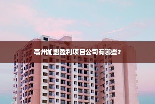 亳州加盟盈利项目公司有哪些？