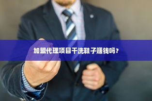 加盟代理项目干洗鞋子赚钱吗？