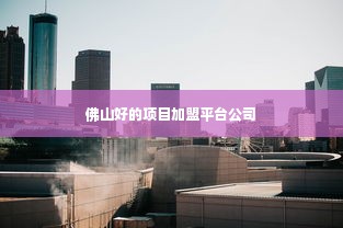 佛山好的项目加盟平台公司