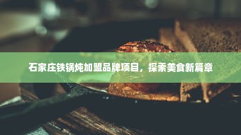 石家庄铁锅炖加盟品牌项目，探索美食新篇章