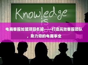 电商客服加盟项目名称——打造高效客服团队，助力您的电商事业