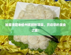 加盟洛阳老柳州螺蛳粉项目，开启您的美食之旅！